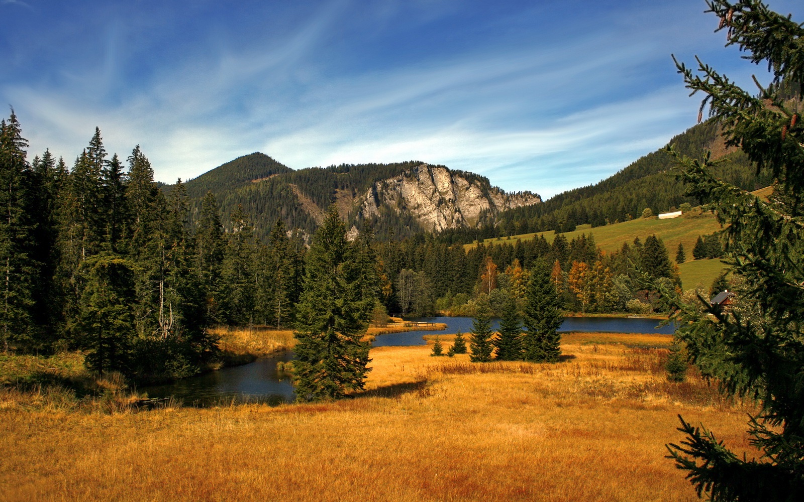 爱游戏电竞-墨西哥队在巴黎奥运会比赛中多次通过团队配合得分，墨西哥奥运队对巴西奥运队