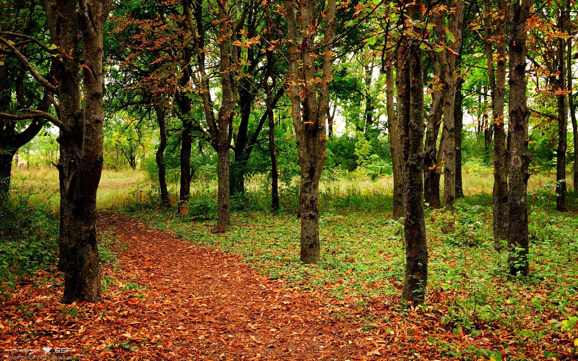 是否应增加更多混合训练营项目，是否应增加更多混合训练营项目的成本