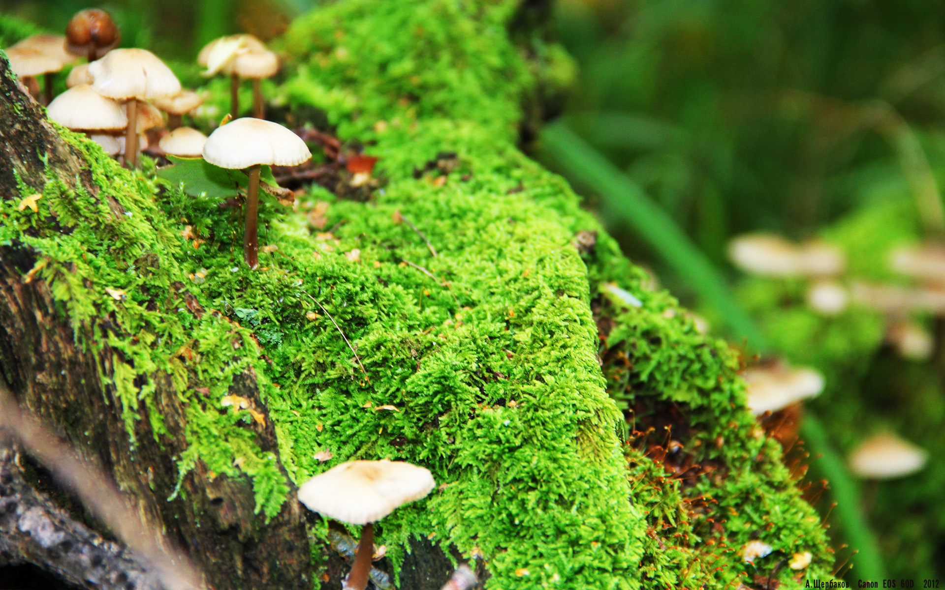 爱游戏官方入口-王者荣耀电竞赛事安全保障加强，王者荣耀电竞游戏规则