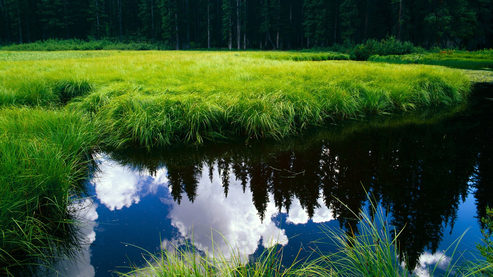 爱游戏官网网页版入口-阿尔阿赫利球员获选月度最佳，表现突出，阿尔阿赫利亚冠