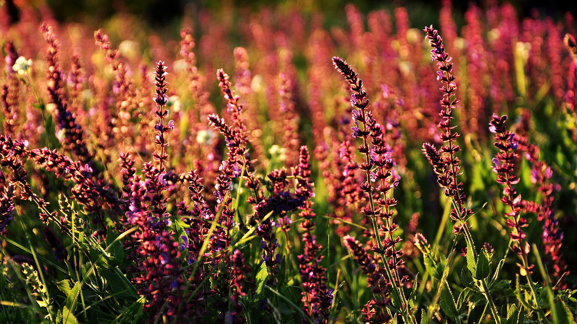 爱游戏网页版-体育产业绿色发展实践，体育产业高质量发展的战略规划