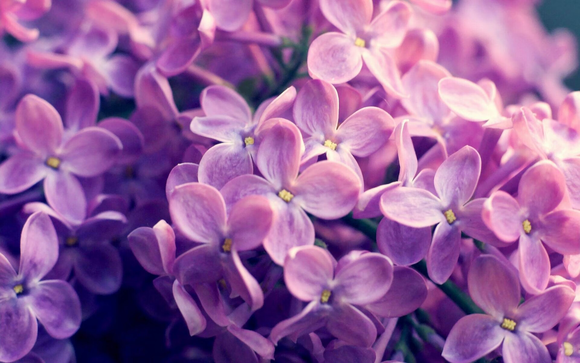 爱游戏体育电竞娱乐-瑞典队未来展望：走向全球乒乓强国的崭新起点，曾经的瑞典乒乓球非常强大